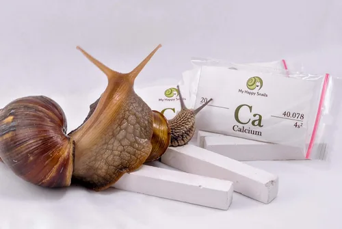 Calcio orgánico para caracoles de mascotas (3 varillas), para todo tipo de caracoles de tierra: caracol de jardín, caracol africano gigante, helice
