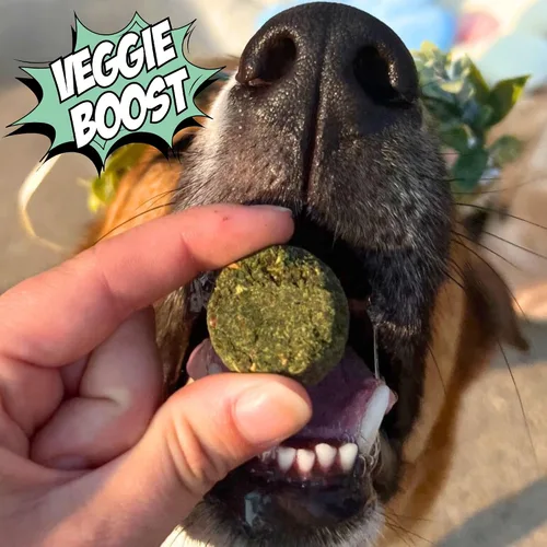 Miniatura 3 de Chippin Golosinas saludables para perros, galletas crujientes totalmente naturales con espirulina real, col rizada, avena, sin carne