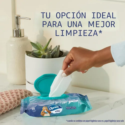 Miniatura 2 de Charmin Toallitas desechables, 160 toallitas en total (4 paquetes de 40)