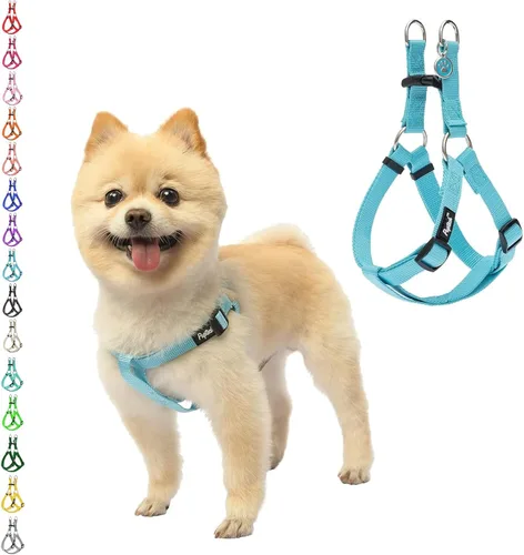 Miniatura 67 de PUPTECK arnés para perro para no jalar, reflejante, ajustable, básico, de nailon, chaleco para cachorro, para caminar al aire libre con etiqueta