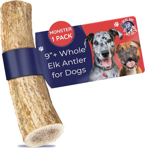 Miniatura 19 de Devil Dog Pet Co. Cornamentas de alce para perros, extra grandes 17,8 cm+, 1 paquete, grado A, masticable duradero para masticadores agresivos, asta