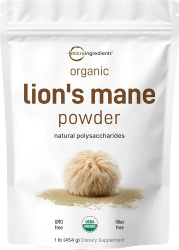 Micro Ingredients Polvo de hongo de melena de león orgánico, 16 onzas | Superalimento puro de cuerpo fructífero | Apoya el cerebro, la