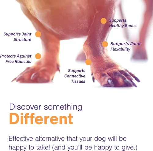 Miniatura 4 de MOVOFLEX - Masticables suaves para el apoyo de cadera y articulaciones para perros pequeños, 60 unidades de Virbac