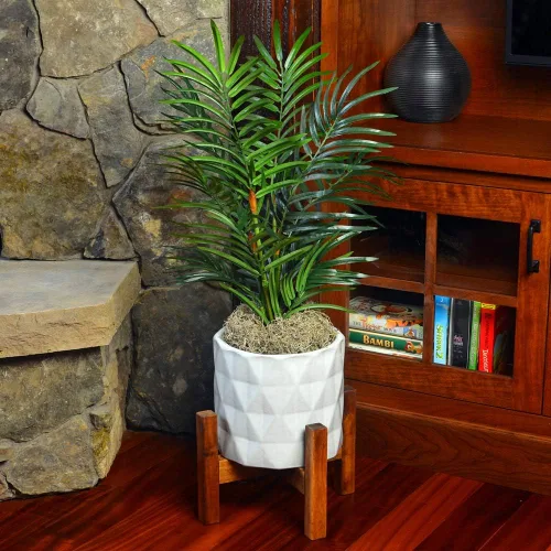 Miniatura 4 de Mosser Lee Musgo español – Musgo decorativo natural para plantas de interior, cubierta de tierra, manualidades, terrarios y arreglos florales - 2.4