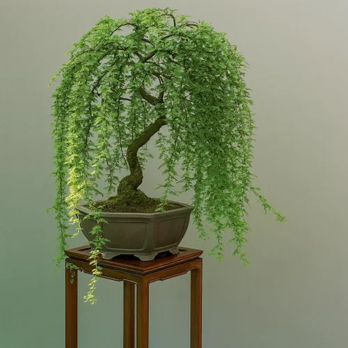 CZ Grain Corte de Árbol Bonsái de Sauce Llorón Verde - Inicio de Tronco Grueso, Material de Bonsái Enano