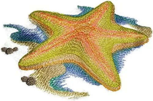 De la Naturaleza Bounty costumbre hermosa pescado Retratos [Estrella de mar Shore] bordado hierro en/coser Patch [6.83" x4.22"] fabricado en EE. UU.]