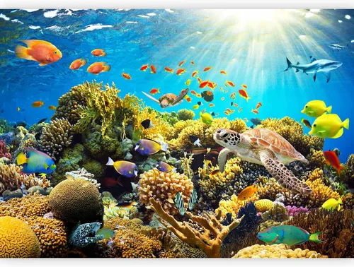 Miniatura 13 de artgeist Mural de pared premium mundo submarino, 98 x 69 pulgadas, papel tapiz no tejido XXL, decoración de pared de vellón, impresión fotográfica