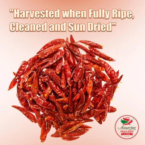 Miniatura 2 de Chile De Arbol 8oz - Pimientos rojos enteros secos, sin tallo de primera calidad, bolsa resellable. Uso en platos mexicanos, chinos y tailandeses.
