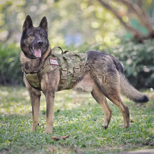 Miniatura 5 de PETAC GEAR Arnés Táctico para Perros K9 Chaleco de Entrenamiento para Perros Ajustable Acolchado para Perros de Servicio Policial de Trabajo Negro