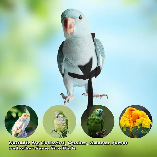 Miniatura 4 de Correas y arneses ajustables para pájaros, arnés de nailon para pájaros con bonito ala para loros, accesorios para pájaros para mascotas, correa