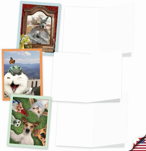 Miniatura 3 de The Best Card Company - Tarjetas de animales en blanco en caja, 4 x 5.12 pulgadas, mascotas surtidas, zoológico, tarjetas de vida silvestre