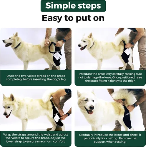 Miniatura 6 de Ortocanis Inmovilizador de rodilla para perros con férulas de aluminio - Soporte de pierna trasera derecha para luxación de rótula, lesiones