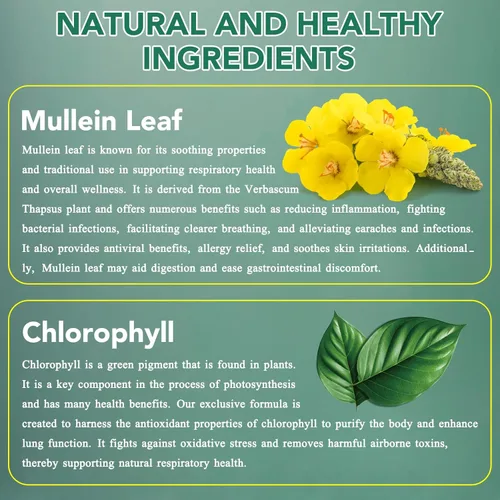 Miniatura 7 de Gotas de gordolobo para pulmones, extracto natural de hoja de gordolobo, gotas de gordolobo y clorofila para los pulmones, suplemento de apoyo
