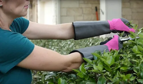 Miniatura 10 de G & F Products Florist Pro - Guantes de jardinería de rosa, palma de cuero sintético, protección contra espinas, manga larga