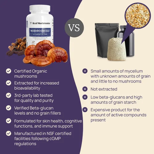 Miniatura 6 de Real Mushrooms Cápsulas de zinc y vitamina D2, con extractos orgánicos de hongos Chaga y Reishi, vitaminas para apoyo general del bienestar, vegano