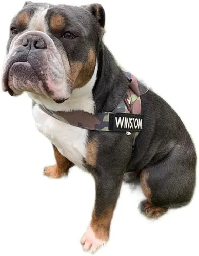 Miniatura 9 de BULLHUG Arnés Hecho para perros de pecho más grande como bulldogs ingleses, bulldogs franceses, pugs y más. Evita que los perros tiren y se