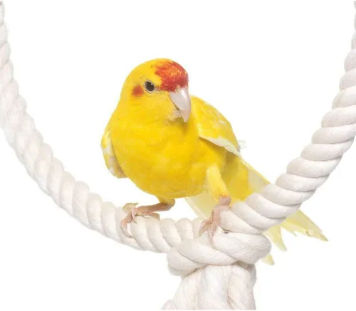 Miniatura 9 de Cuerda de macramé de algodón de 0.394 in, cuerda trenzada de 3/8 pulgadas de grosor para manualidades, decoración de nudos, juguetes para mascotas