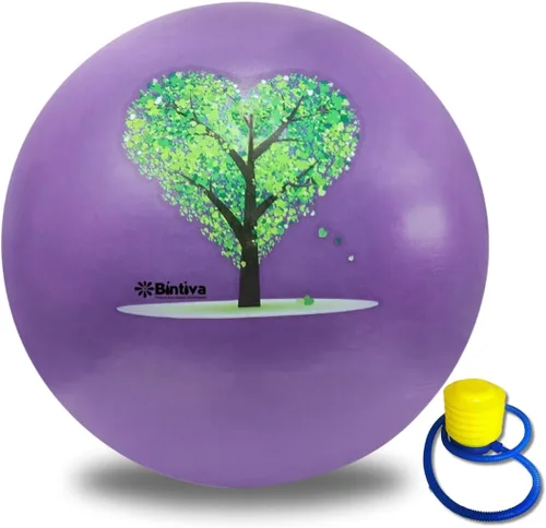 Miniatura 13 de bintiva Pelota de ejercicio