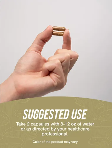 Miniatura 4 de BulkSupplements. com Cápsulas de extracto de hongo melena de león – Suplemento de hongos, suplemento cerebral para apoyo de memoria y concentración