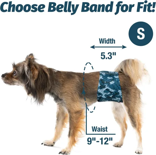 Miniatura 3 de Pet Soft Bandas para el vientre para perros - 3 paquetes de pañales reutilizables para perros machos, pañales para perros machos - Bandas lavables