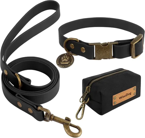 Wisedog Juego de collar y correa para perro, collares ajustables impermeables para cachorros con bonita etiqueta, correa de perro de 4 pies con