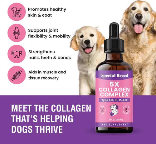 Miniatura 2 de Colágeno Premium para Perros - Soporte Líquido para Articulaciones, Piel, Pelaje, Hueso, Sistema Inmunológico y CADERAS - Suplemento de Colágeno