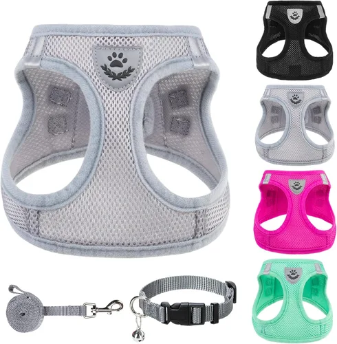 Miniatura 30 de PUPTECK - Arnés, collar y correa ajustables, sin tirones, para perros pequeños y medianos, cachorros y gatos, pechera reflectante acolchada de malla