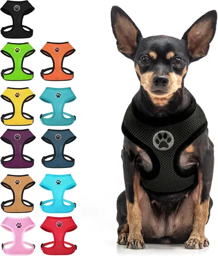 Miniatura 11 de BINGPET Arnés para perro sin tirones, arnés de chaleco tipo step-in de malla para todo clima para perros pequeños, arnés de malla transpirable