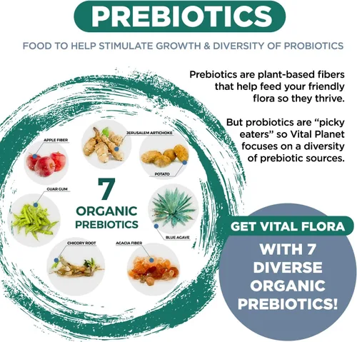 Miniatura 5 de Vital Planet - Probiótico Vital Flora Ultra Daily 60 mil millones de UFC, diversas cepas, prebióticos orgánicos, apoyo inmunológico, alivio