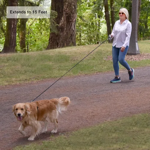 Miniatura 4 de Hounds & Pups - Correa retráctil para perro, 15 pies de longitud, luz LED para paseos nocturnos (morado)