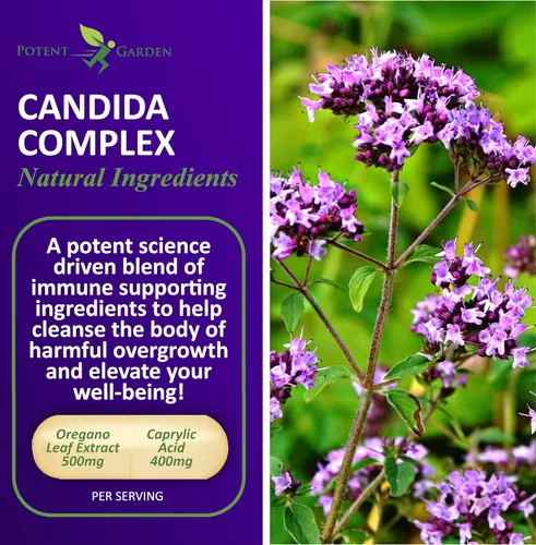Miniatura 2 de Potent Garden Candida Complex - Mezcla de orégano y ácido caprílico, complejo de equilibrio de flora intestinal, salud intestinal y apoyo
