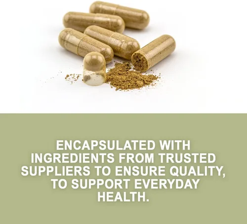 Miniatura 3 de Evergreen Herbs Wereke Cápsulas – 90 cápsulas vegetales, 1350 mg por porción, suplemento de hierbas mexicanas Wereque para bienestar diario y apoyo