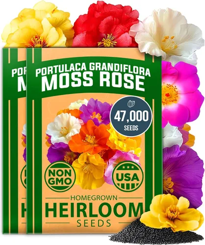 Miniatura 122 de HOME GROWN Mezcla de semillas germinantes de primera calidad, microgreens 118,200 semillas para cultivo en interiores, brócoli, alfalfa, rábano