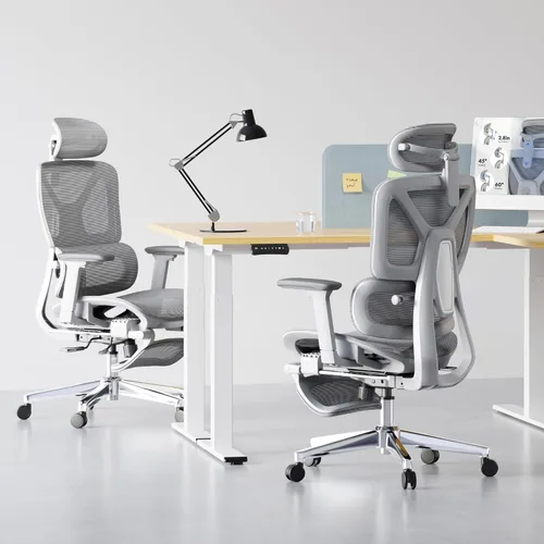 Miniatura 2 de FLEXISPOT ErgoX Premium - Silla de oficina ergonómica premium con reposapiés - Reposabrazos 3D ajustables, soporte lumbar dinámico, función de Gris