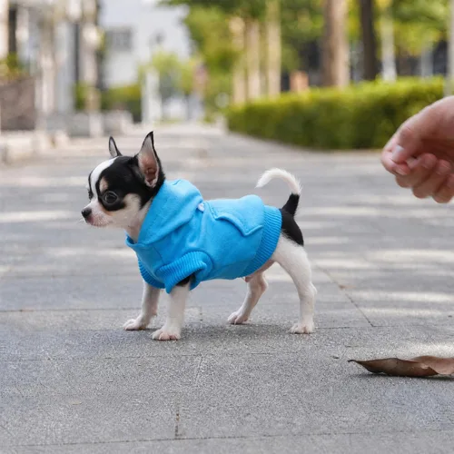 Miniatura 7 de LOPHIPETS Sudaderas con capucha de algodón para perros pequeños, chihuahua, ropa para cachorros, abrigo para clima frío, color azul Cambridge