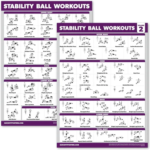 Palace Learning Paquete de 2 ejercicios de entrenamiento de pelota de yoga Volumen 1 y Volumen 2 - Rutina de pelota de estabilidad - Gráficos de