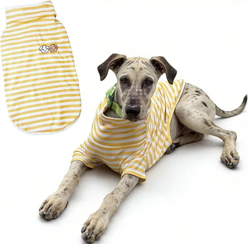 Miniatura 13 de Camisa de cuello alto para perro, lindo bordado de perrito, sudadera súper suave para perro, jersey elástico a rayas para cachorro, para gatos