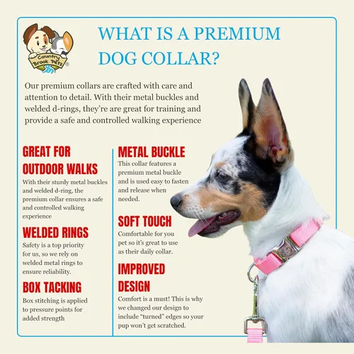 Miniatura 5 de Country Brook Petz – Collar de nailon premium para perro con hebilla de metal para razas pequeñas, medianas y grandes - Más de 10 colores cálidos