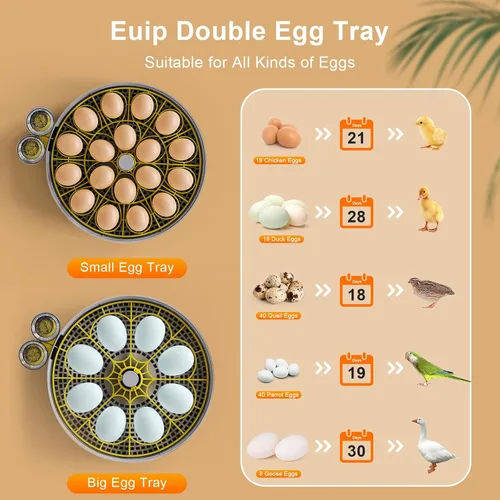 Miniatura 4 de IBKINXX Incubadora para incubar huevos: capacidad de 18 huevos, girador automático de huevos, control de temperatura y humedad, visualización
