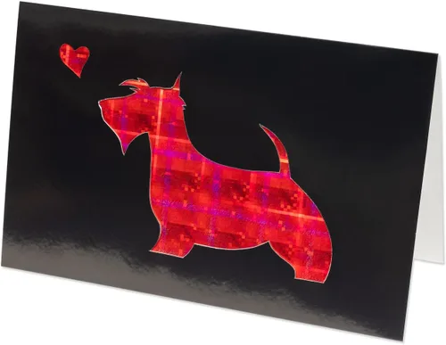 Miniatura 6 de Hygloss Productos Tarjeta holográfica Stock-8.5"x11" 10pt, 5 hojas, plata brillante