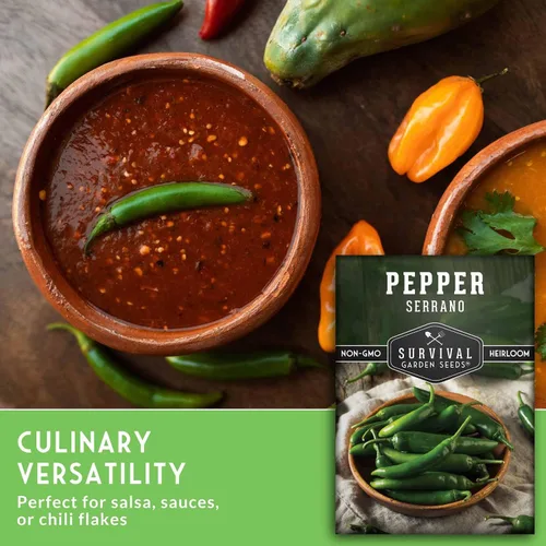 Miniatura 5 de Semillas de pimiento serrano mexicano para plantar Semillas de chile picante fresco y pimiento verde – Variedad tradicional sin OMG para salsa