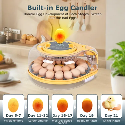 Miniatura 6 de Incubadoras para incubar huevos, incubadora de 18 huevos con vela de huevos, girador automático de huevos, control de temperatura y humedad, día
