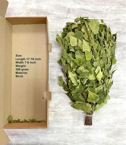 Miniatura 3 de ECOVENIK Temporada 2023 - Ramas naturales secas para sauna Accesorios para Banya 100% hecho a mano (fabricado en Europa)