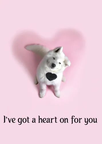 Miniatura 11 de Glory To Dog A Little Valentine's Toast - Tarjeta de felicitación con sobre de correo para tarjetas de felicitación