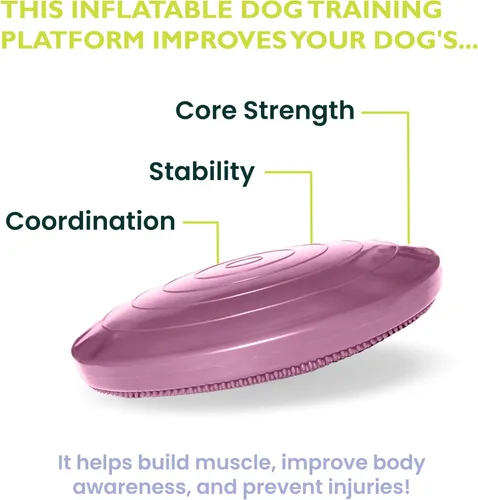 Miniatura 3 de FitPaws® Disco de equilibrio para perros, 22 pulgadas, Razzleberry Equipo de ejercicio para perros Herramienta de entrenamiento para fuerza