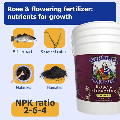 Miniatura 3 de Neptune's Harvest Fertilizante de rosas y flores (2-6-4) - Cubo de 5 galones - Alimento líquido orgánico para flores vibrantes y crecimiento