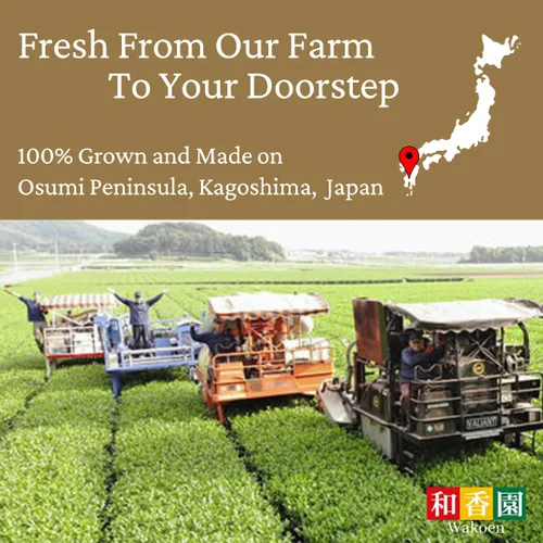 Miniatura 5 de Houjicha - Polvo de té verde de alta calidad, auténtico origen japonés, bolsa de 1 oz (30 g), desde nuestra casa de té hasta tu puerta