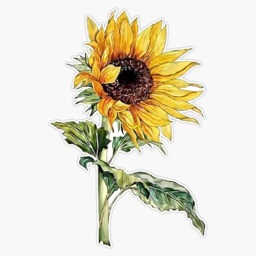 Vision Signs Pegatina de girasol para parachoques de vinilo 5 pulgadas (VISION-XMAS-STICKERS-025)