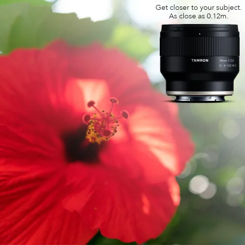 Miniatura 6 de Tamron 24mm F/2.8 Di III OSD M1:2 Lente para Cámara Sony Full Frame/APS-C E-Mount Mirrorless