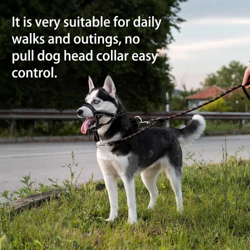 Miniatura 6 de Collar de cabeza de perro con tela reflectante, arnés ajustable para cabeza de perro para evitar tirones para perros pequeños, medianos y grandes